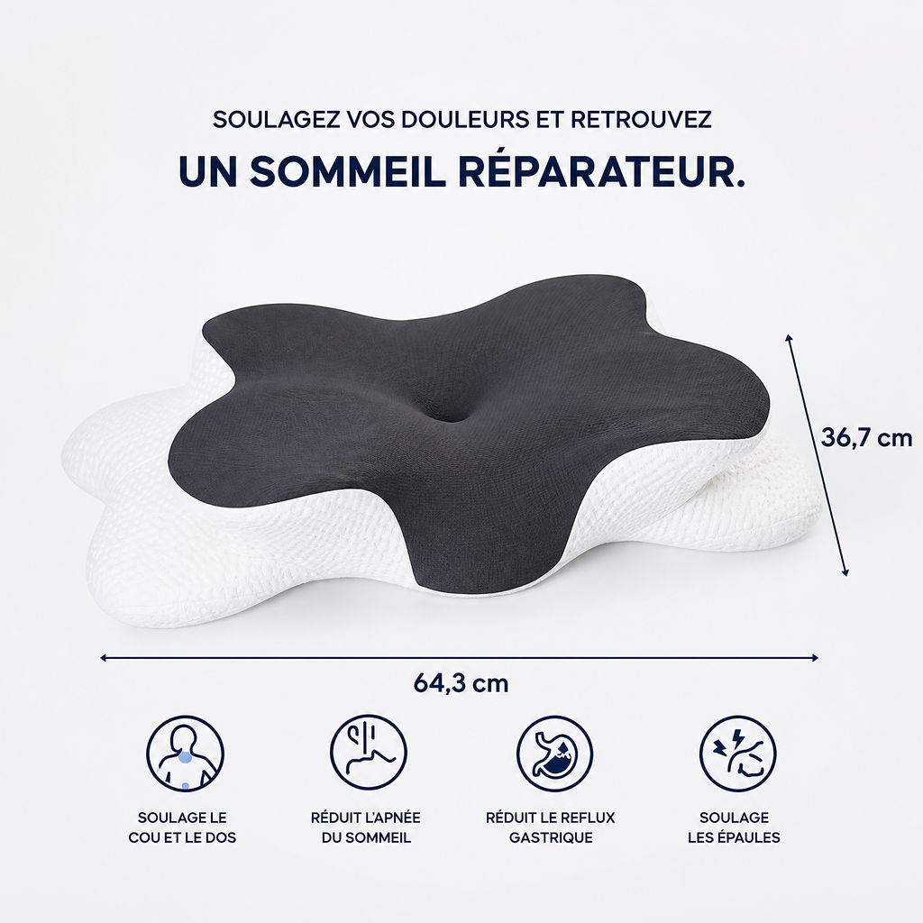 Oreiller Soya 3.0